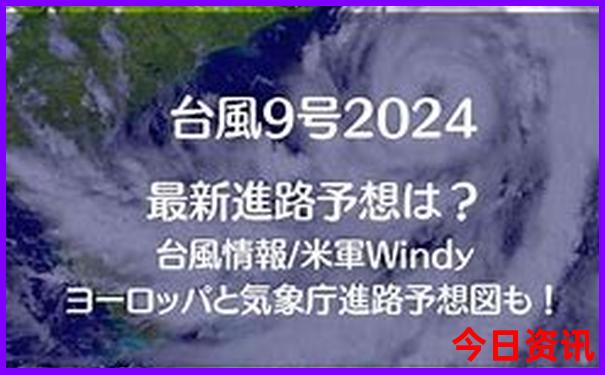 2023澳门全年免费资料公开